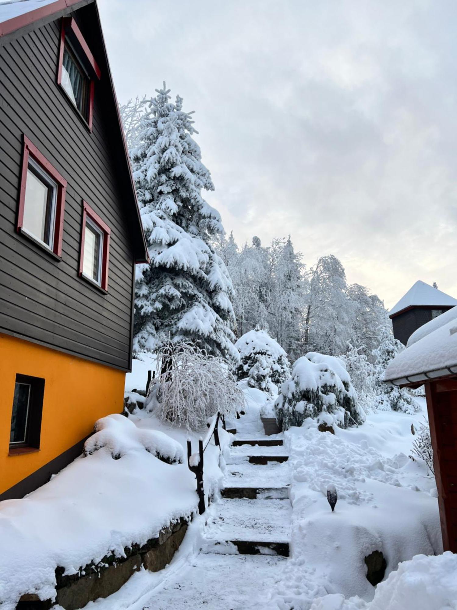 Haus Tadeus Apartment Altenberg ภายนอก รูปภาพ